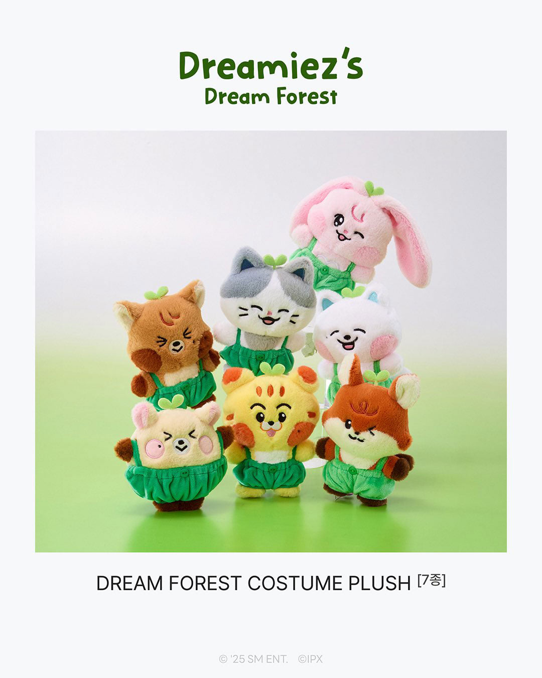 [Ships Immediately] NCT DREAM - Dreamiez's Dream Forest Popup MD