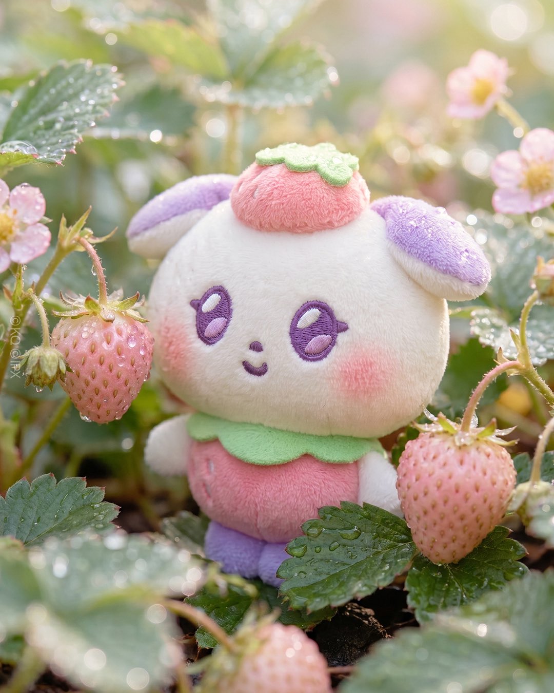 ATEEZ MIGHTEEZ Berry Breezy Fairy (FRUIT FAIRY)