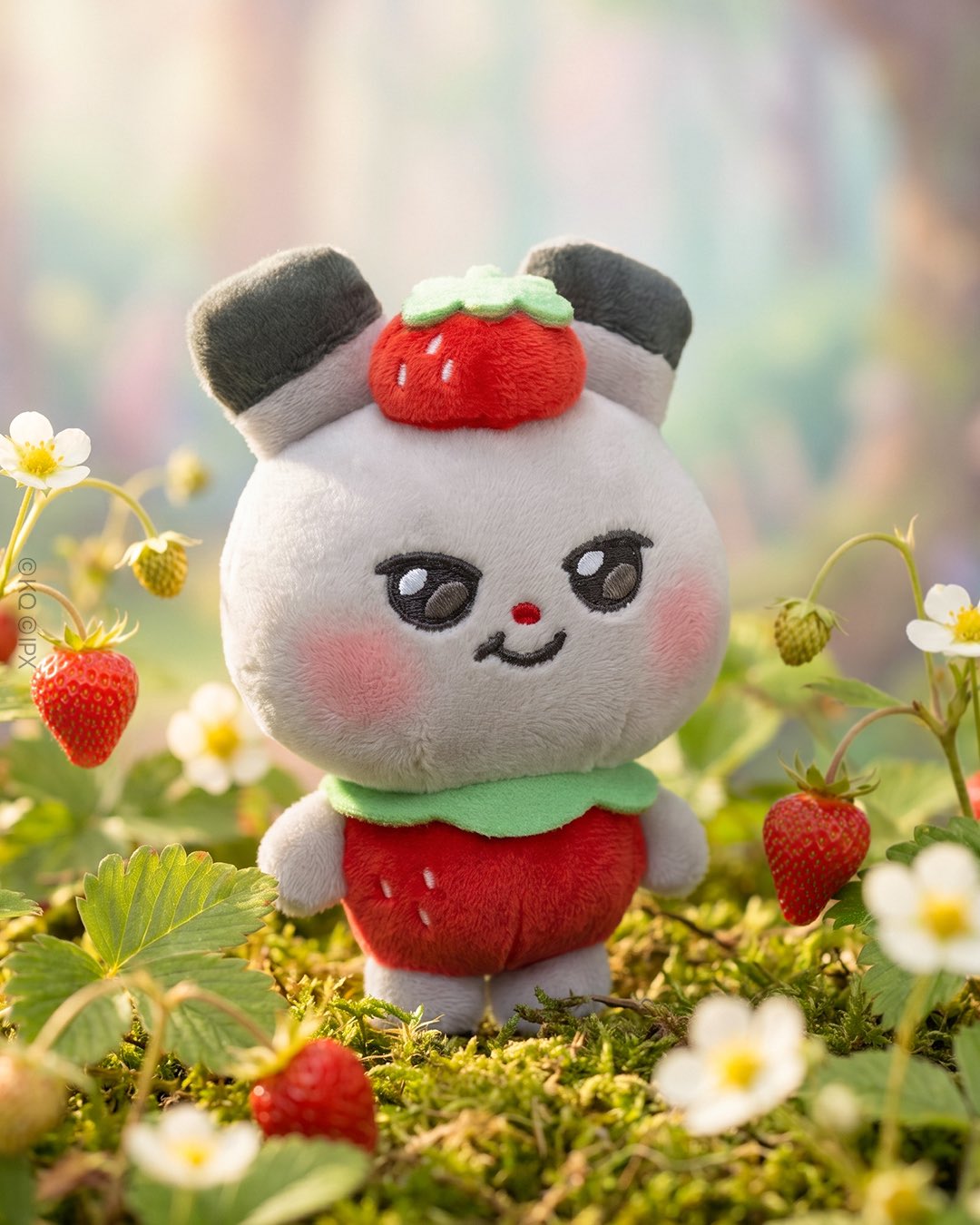ATEEZ MIGHTEEZ Berry Breezy Fairy (FRUIT FAIRY)