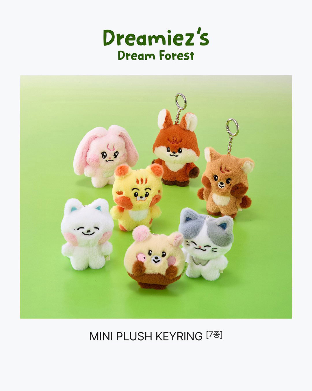 [Ships Immediately] NCT DREAM - Dreamiez's Dream Forest Popup MD